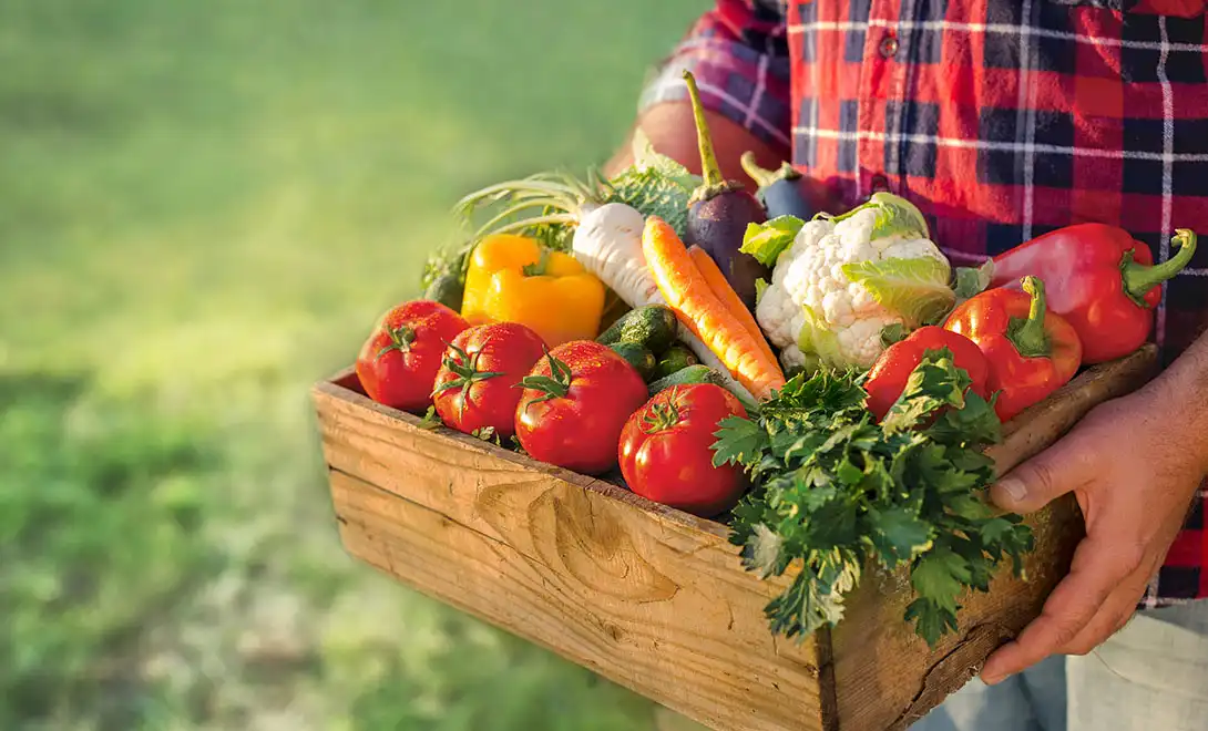 How do antiviral peptides protect crops from viral infections？